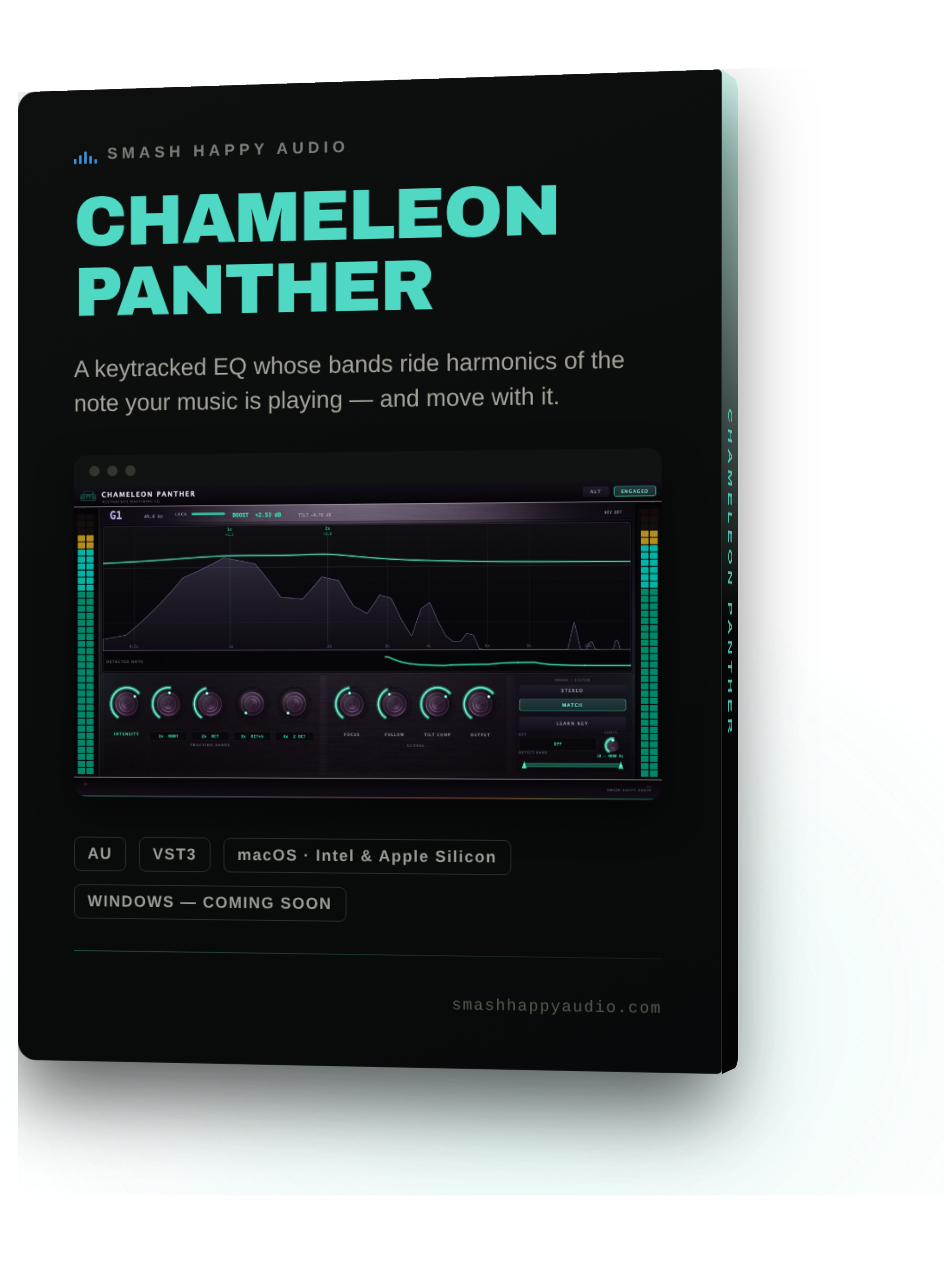 CHAMELEON PANTHER, boxed